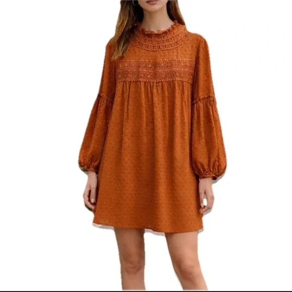 Linda Anderson Rust Orange Swiss Dot Lace Yoke Long Sleeve Bohemian Office Dress - Picture 3 of 9